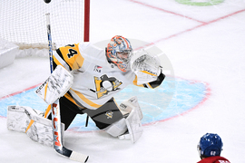 Penguins Canadiens Hockey