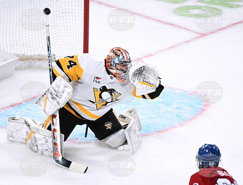 Penguins Canadiens Hockey