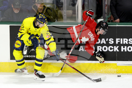 Sweden Canada Hockey