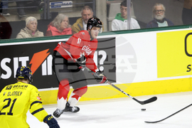 Sweden Canada Hockey