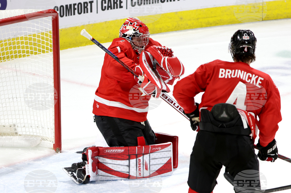 Sweden Canada Hockey