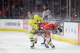 Sweden Canada Hockey