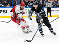 Hurricanes Lightning Hockey