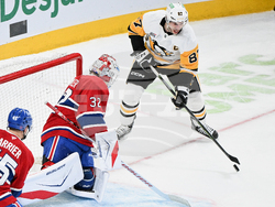 Penguins Canadiens Hockey