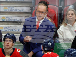 Blues Panthers Hockey