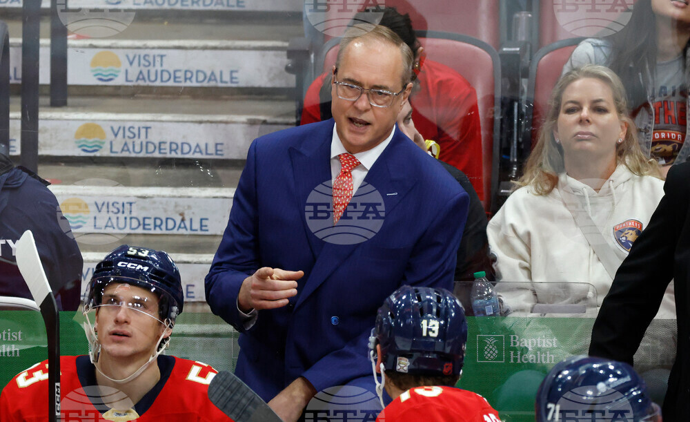 Blues Panthers Hockey