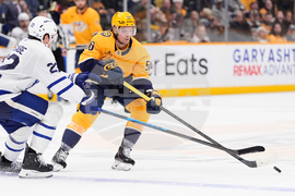 Maple Leafs Predators Hockey