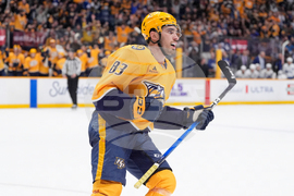 Maple Leafs Predators Hockey