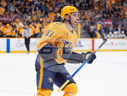 Maple Leafs Predators Hockey