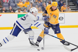 Maple Leafs Predators Hockey
