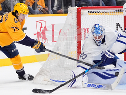 Maple Leafs Predators Hockey