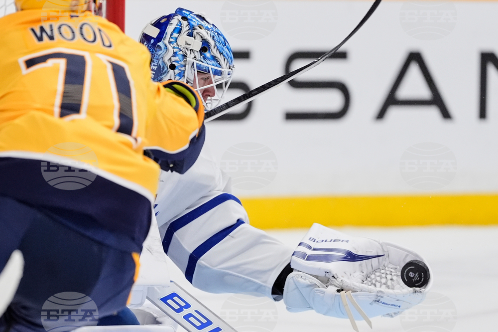 Maple Leafs Predators Hockey