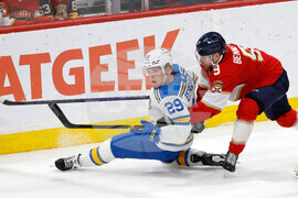 Blues Panthers Hockey