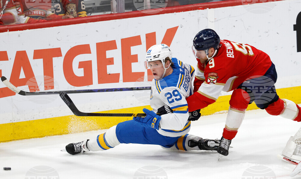 Blues Panthers Hockey