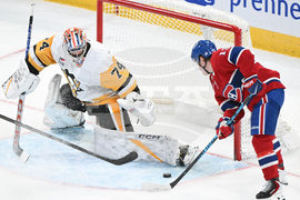 Penguins Canadiens Hockey