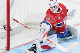 Penguins Canadiens Hockey