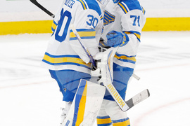Blues Panthers Hockey