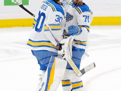 Blues Panthers Hockey