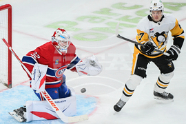 Penguins Canadiens Hockey