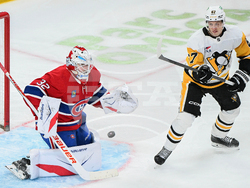 Penguins Canadiens Hockey