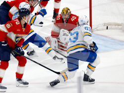 Blues Panthers Hockey