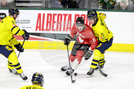 Sweden Canada Hockey