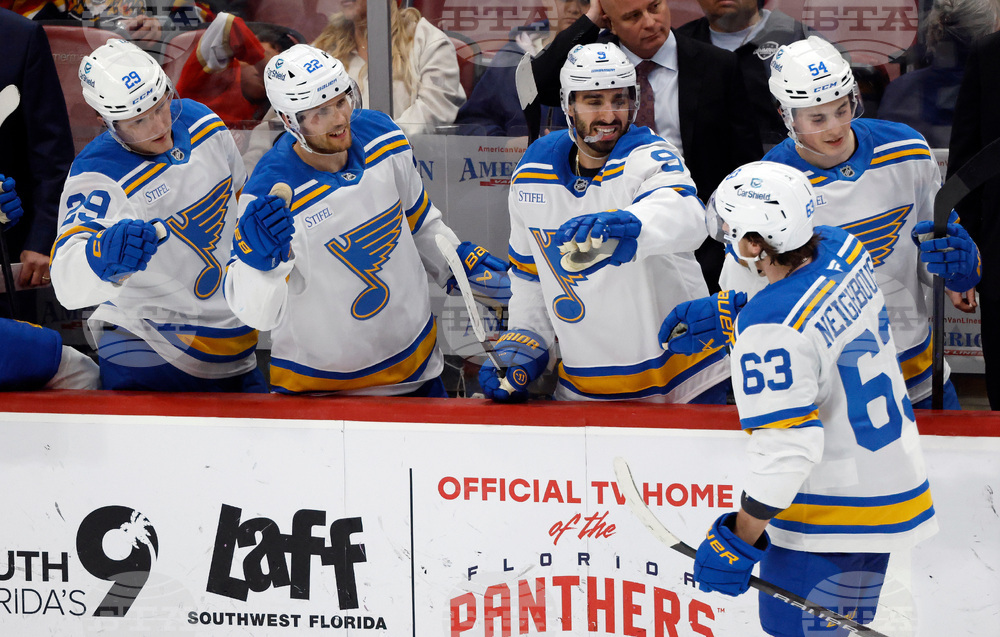 Blues Panthers Hockey