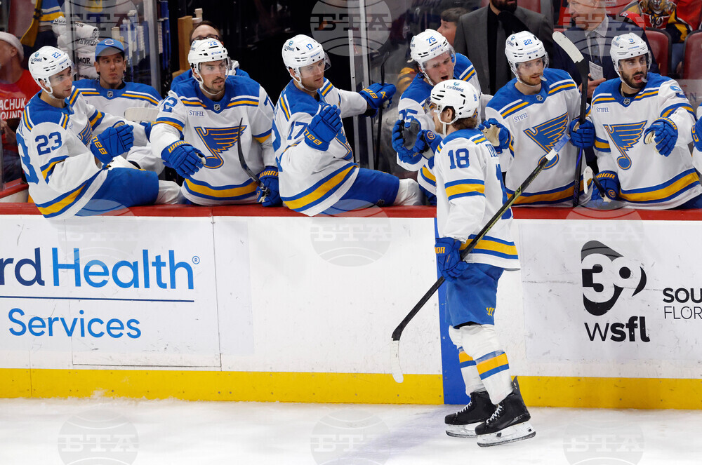 Blues Panthers Hockey