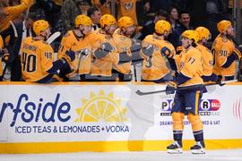 Maple Leafs Predators Hockey