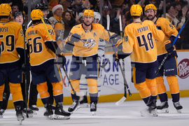 Maple Leafs Predators Hockey