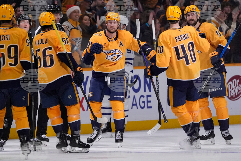 Maple Leafs Predators Hockey