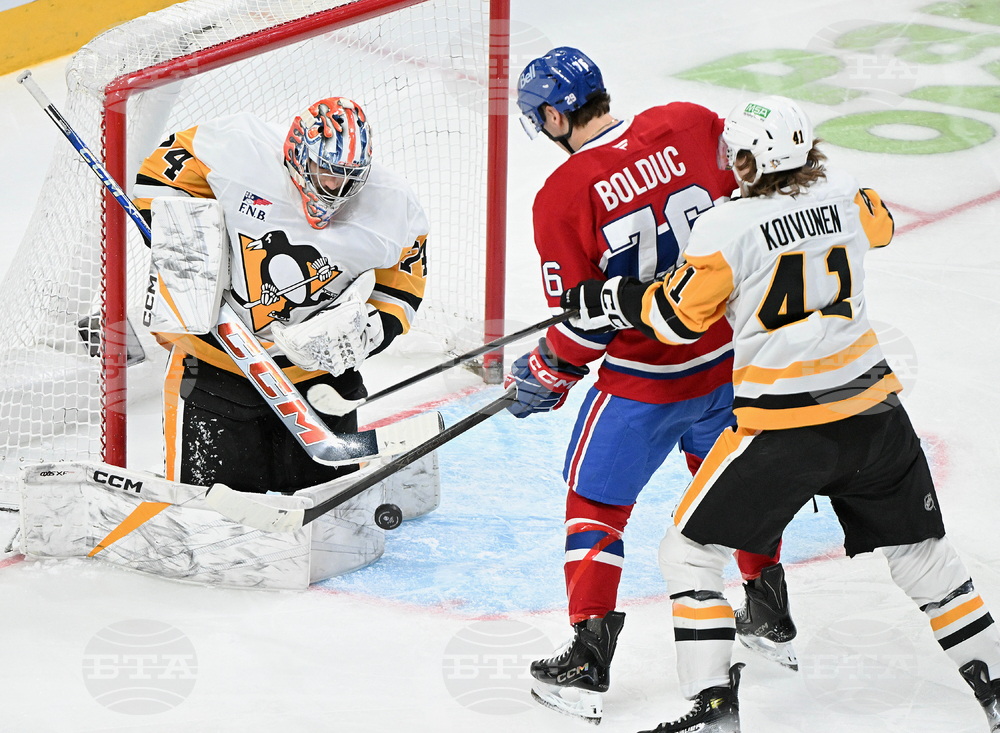 Penguins Canadiens Hockey