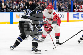 Hurricanes Lightning Hockey