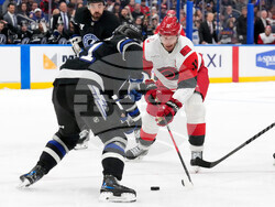 Hurricanes Lightning Hockey