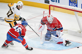 Penguins Canadiens Hockey
