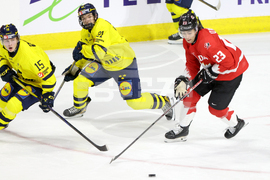 Sweden Canada Hockey