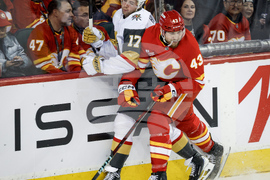 Golden Knights Flames Hockey