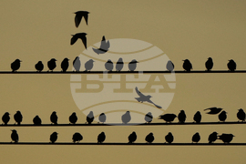 APTOPIX Kansas Daily Life