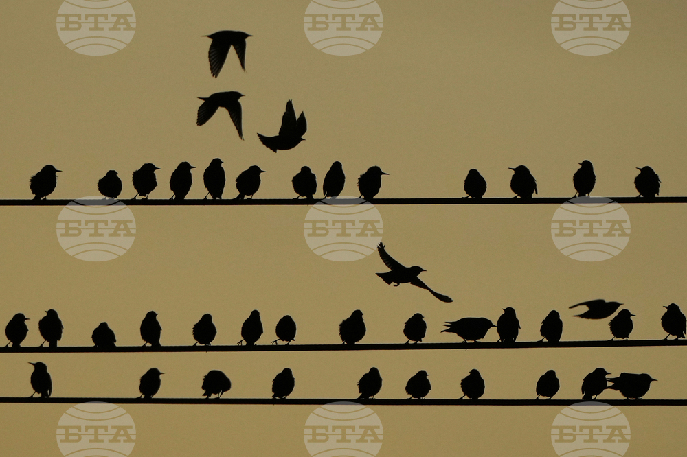 APTOPIX Kansas Daily Life