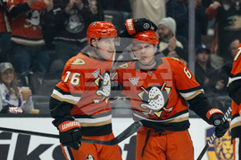 Blue Jackets Ducks Hockey