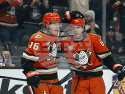 Blue Jackets Ducks Hockey