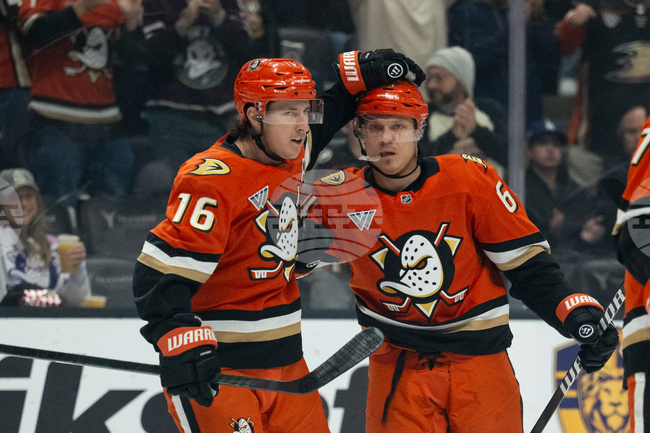 Blue Jackets Ducks Hockey