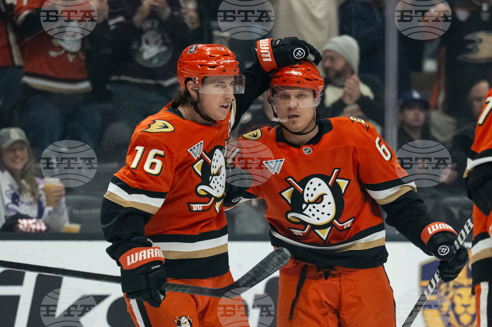 Blue Jackets Ducks Hockey