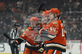 Blue Jackets Ducks Hockey