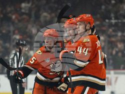 Blue Jackets Ducks Hockey