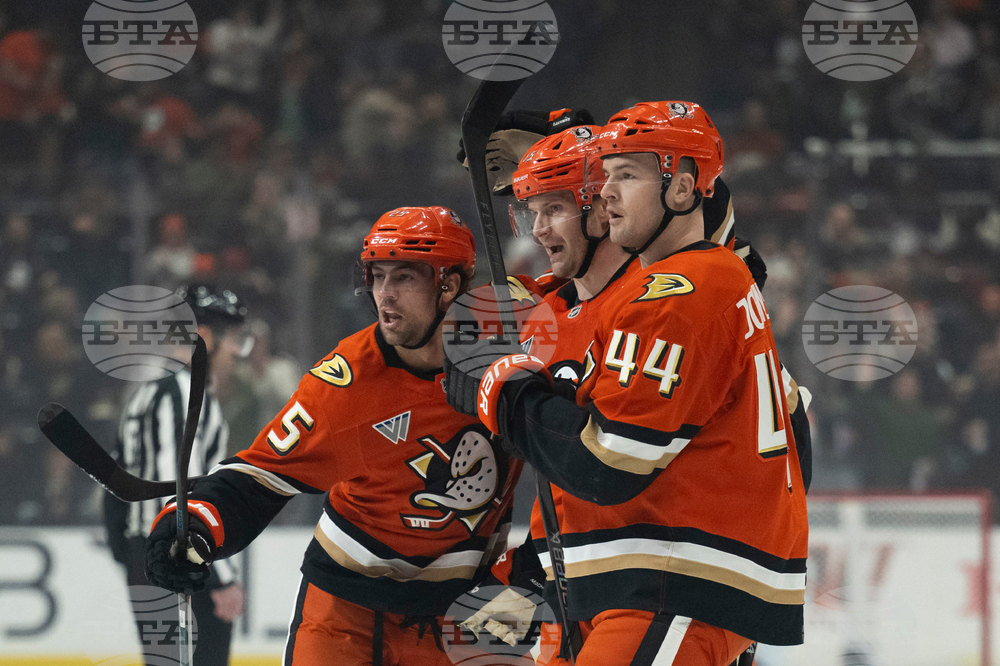 Blue Jackets Ducks Hockey