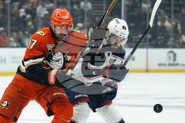 Blue Jackets Ducks Hockey