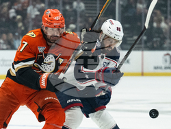 Blue Jackets Ducks Hockey