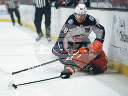 Blue Jackets Ducks Hockey