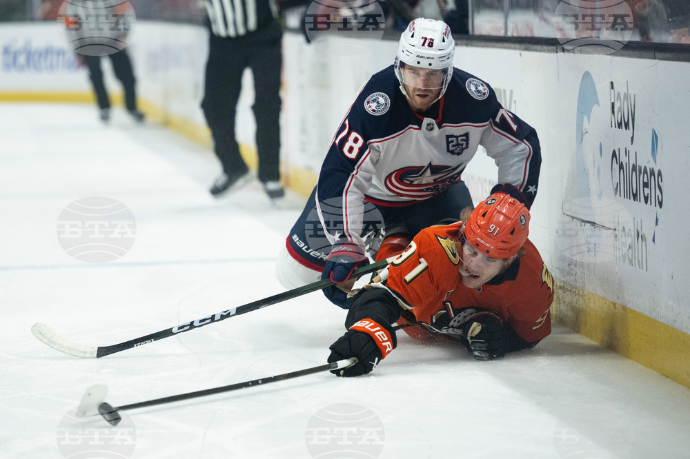 Blue Jackets Ducks Hockey